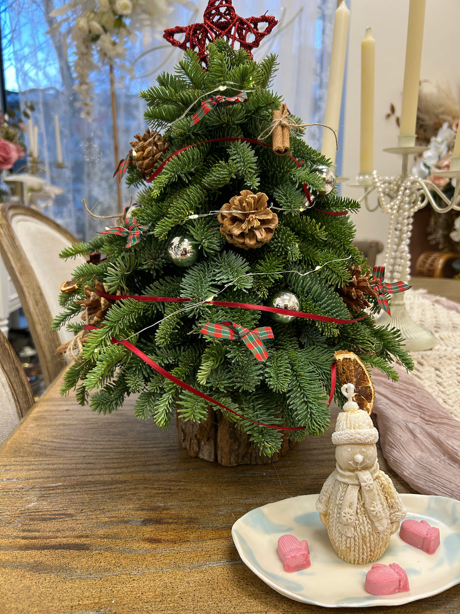 Noble Fir Tabletop Christmas Tree