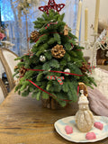 Noble Fir Tabletop Christmas Tree