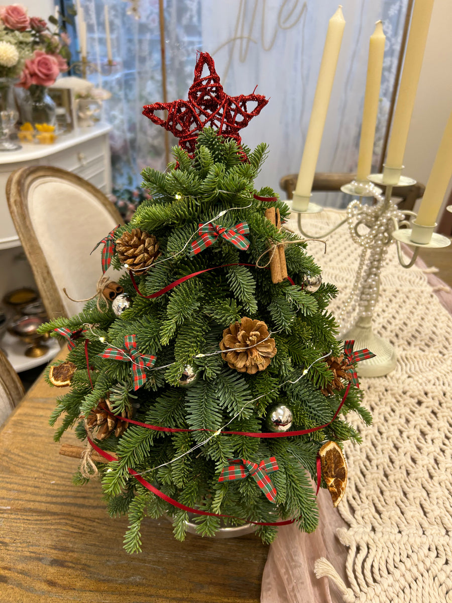 Fresh Evergreen Christmas Tree
