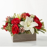 Winter Noel Floral Arrangement