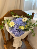 Cloud Tide | Blue Hydrangea