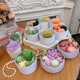 Succulent Garden Candles