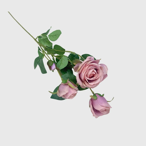 Pink Spary Rose