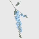 Light Blue Delphinium