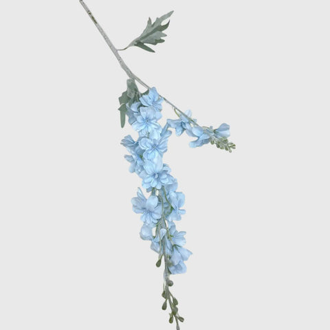 Light Blue Delphinium