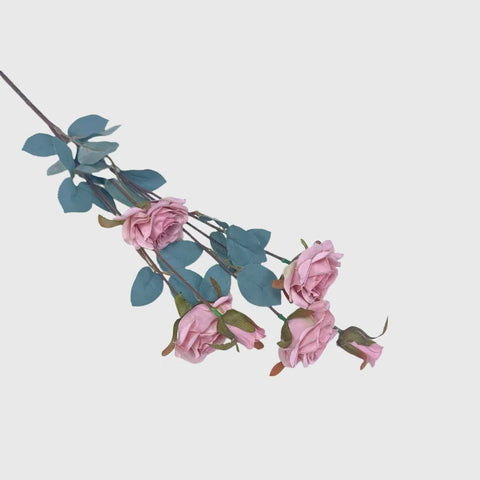 Pink Spray Rose