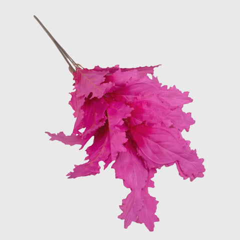 Fancy Pink Greenery Leaf
