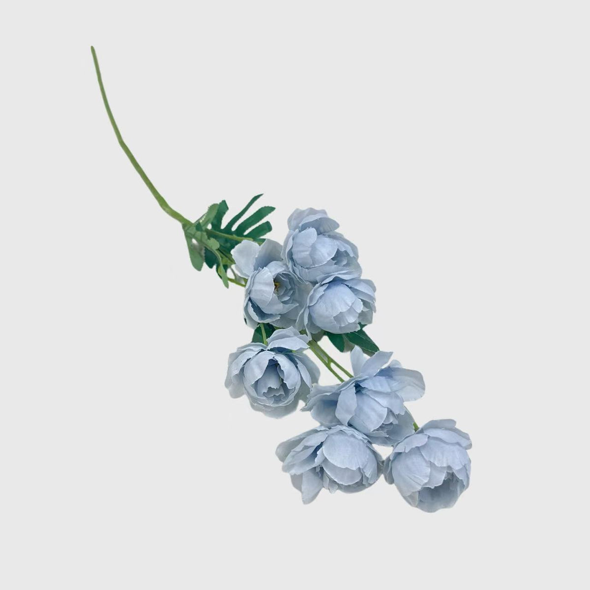 Light Blue Spray Garden Rose