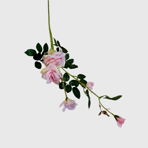 Light Pink Spray Rose