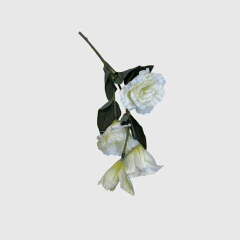 Lisianthus Celebrich White