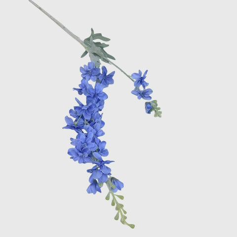 Dark Blue Delphinium