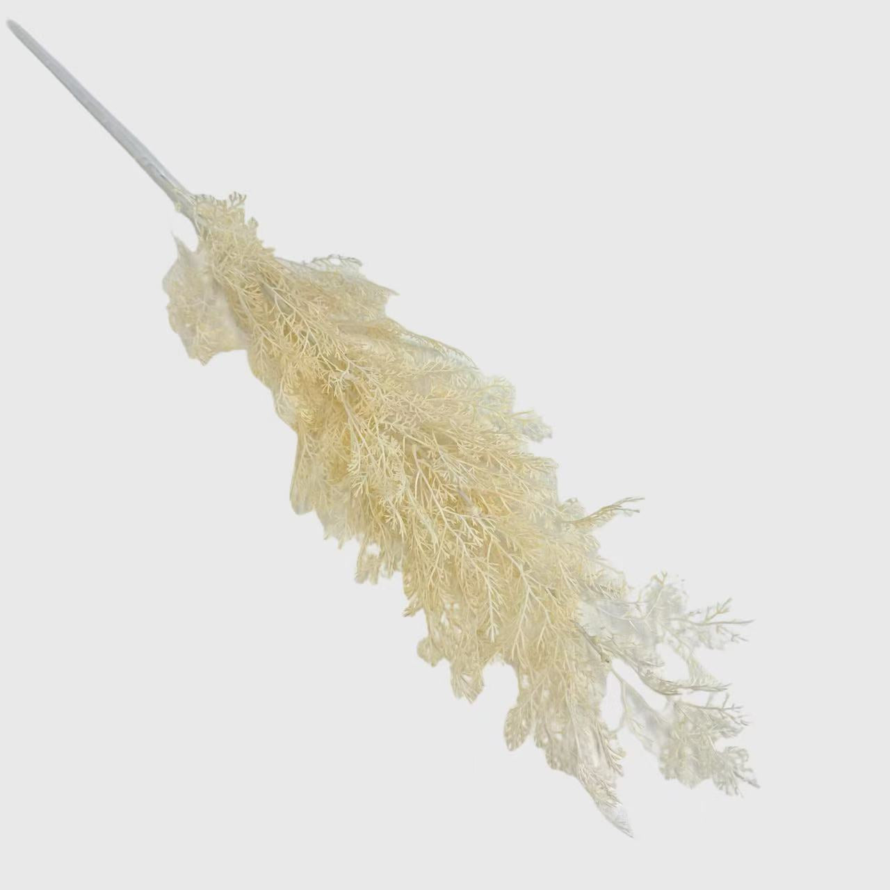White Pine