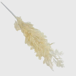 White Pine