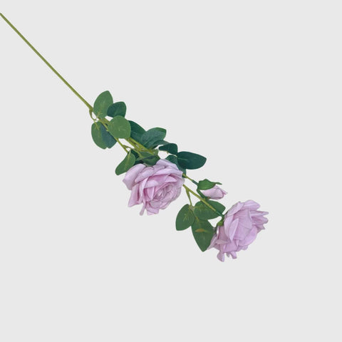 Light Purple Spray Rose
