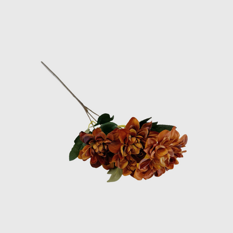 Burnt Orange Dahlia