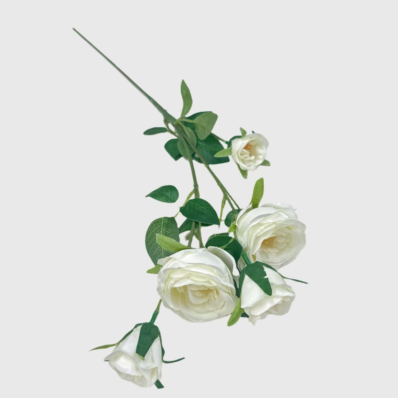 White Spray Rose
