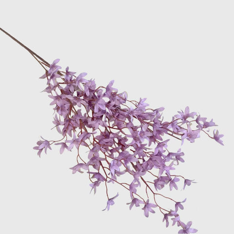 Purple Oncidium Orchid