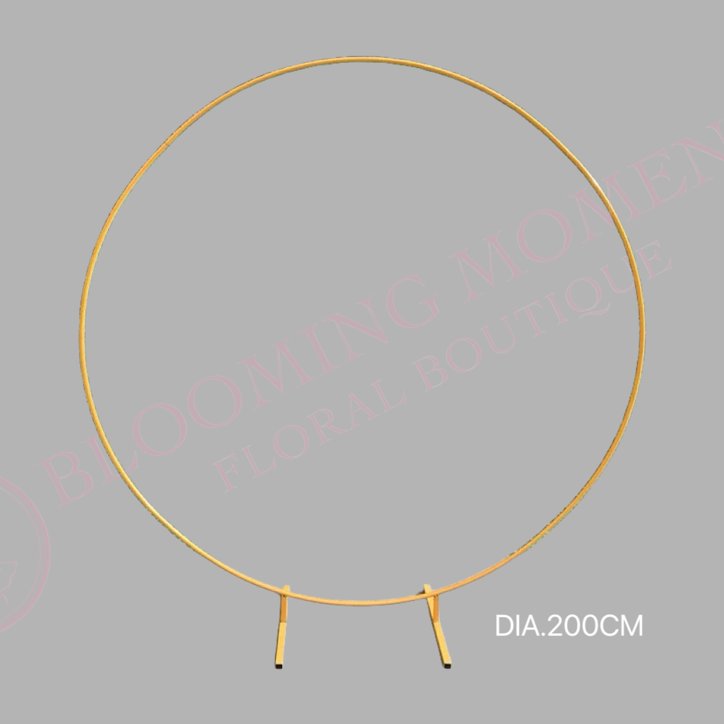 Gold Circle Arch Frame