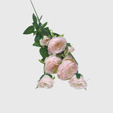 Light Pink Ranunculus Spray