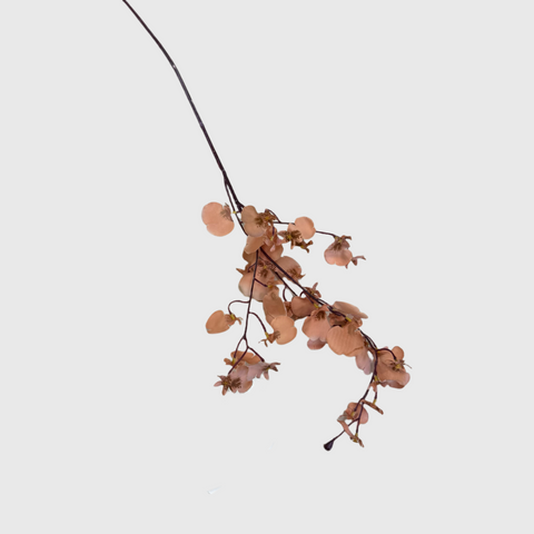 Orchid-Nude Blush