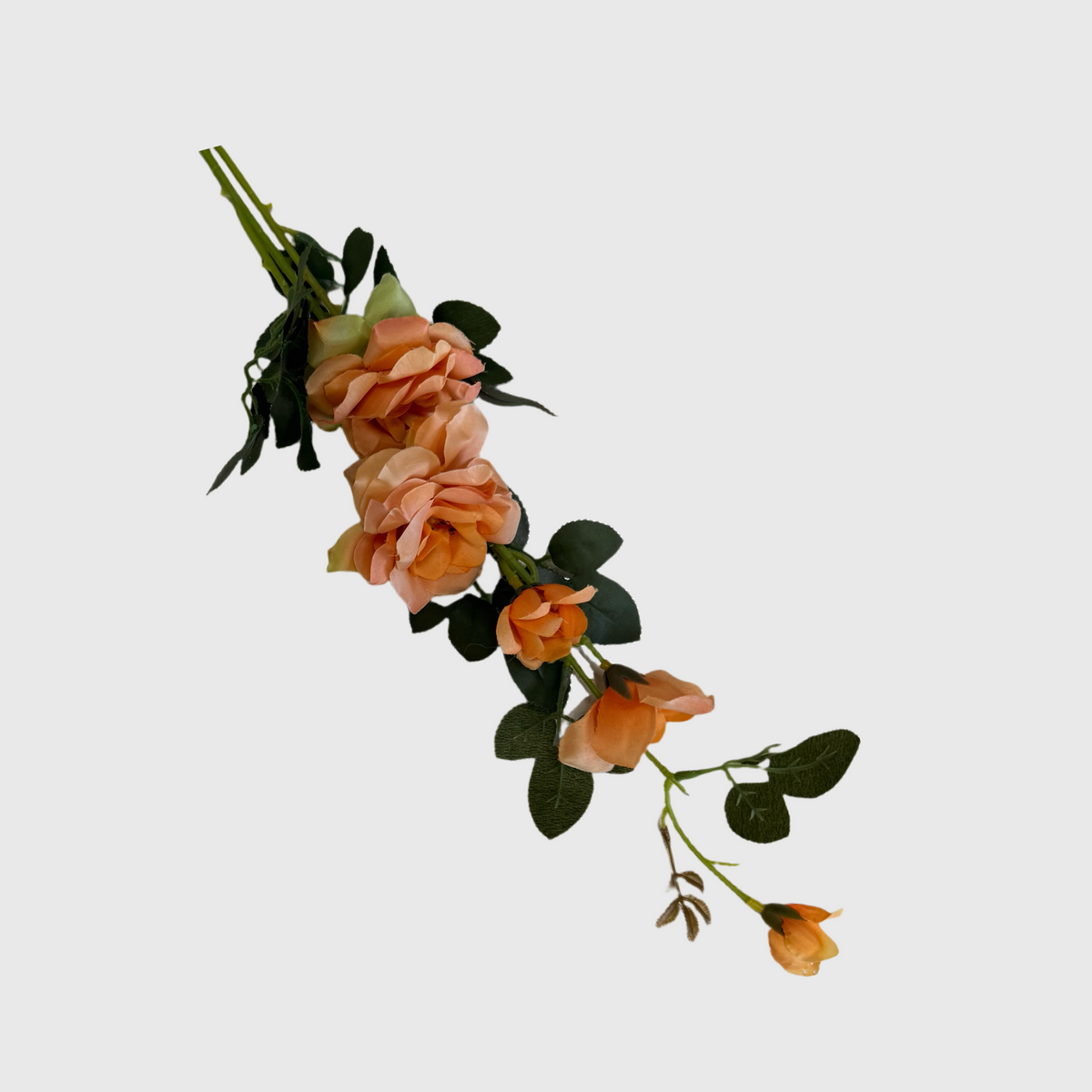Orange Spray Rose
