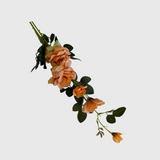 Orange Spray Rose