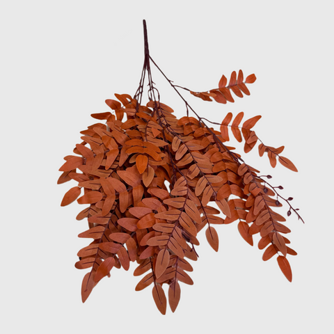Caramel Brown Fern Foliage