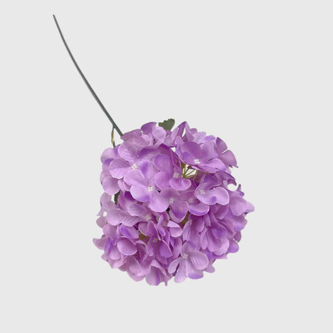 Purple Hydrangea