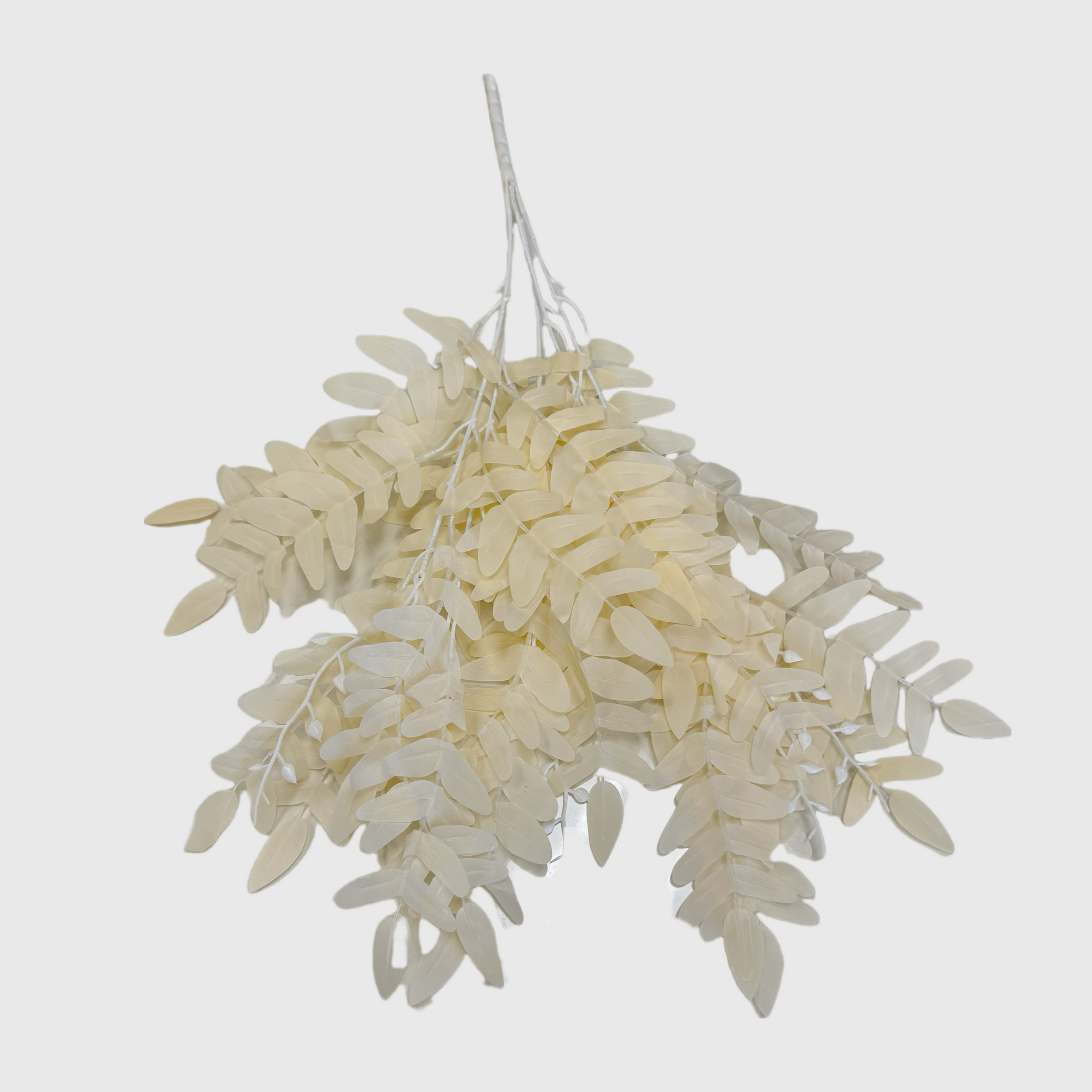 Cream White Fern Vine
