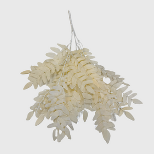 Cream White Fern Vine