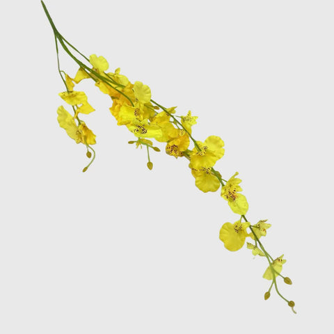 Yellow Orchid Dancing Lady