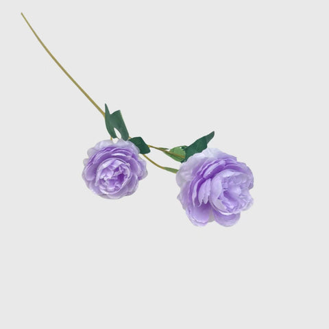 Purple Spray Rose 2-head