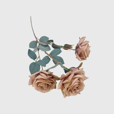Beige Spray Rose