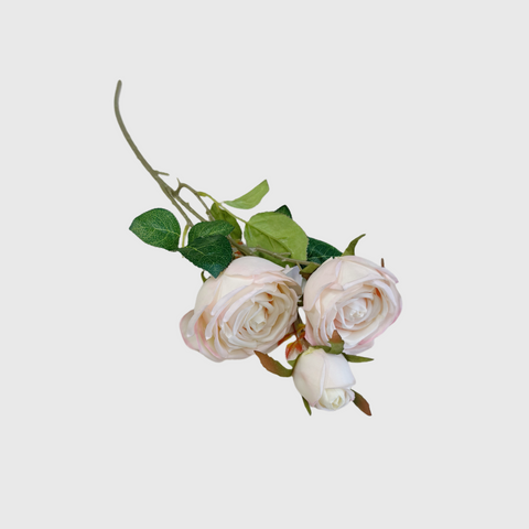 Blush Pink Garden Rose Spray